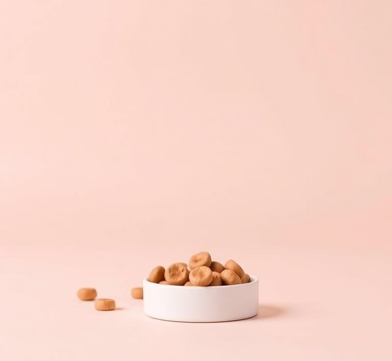 Monoprotein Hundefutter: Ideal für Hunde mit Allergien?